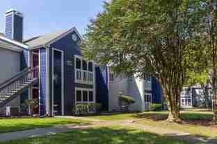 Raintree - Photo 1 of 1