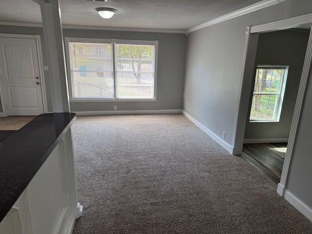 403 Beckley St - Photo 2 of 13