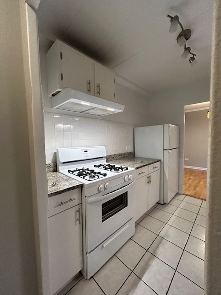 1447 West Touhy - Photo 2 of 9