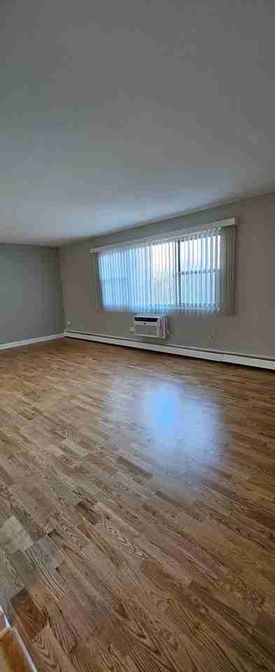 1447 West Touhy - Photo 5 of 9