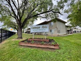Lemon Hill Apartments - Photo 1 of 1