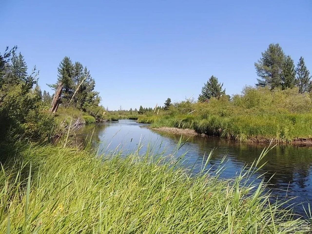 150337 Tigard St - Photo 2 of 17