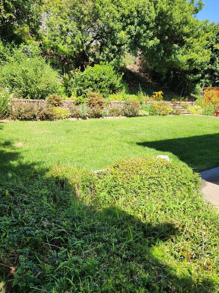 5078 Via Cinta - Photo 5 of 11