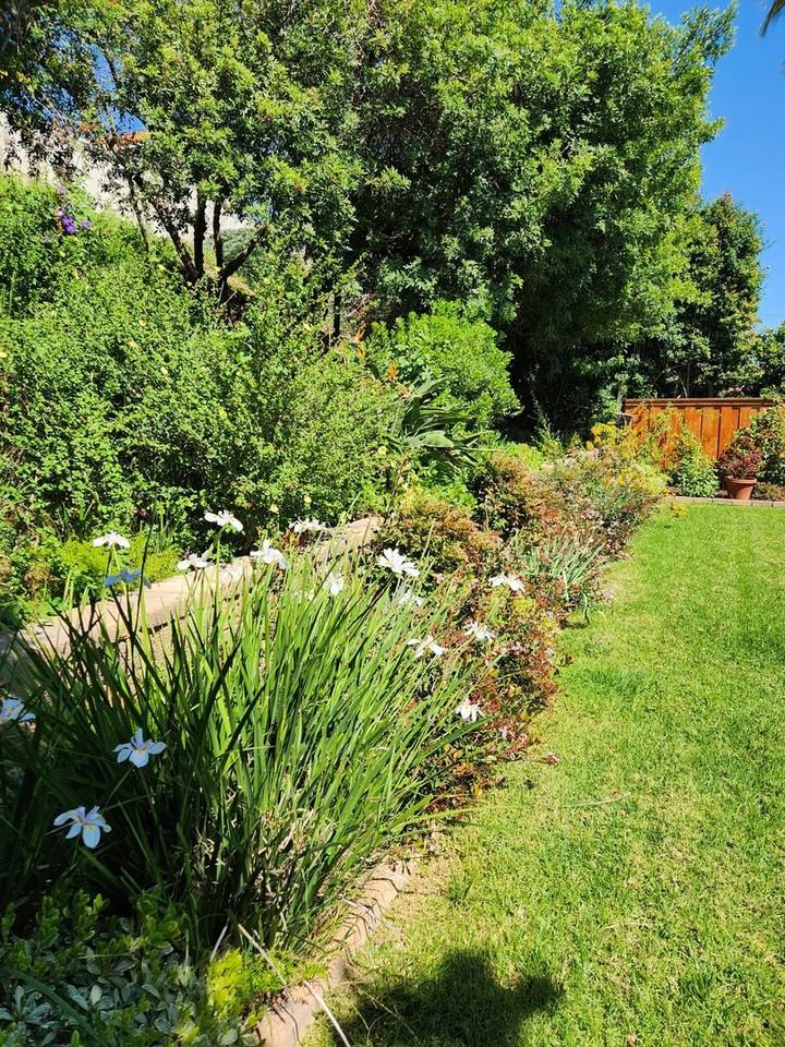 5078 Via Cinta - Photo 7 of 11