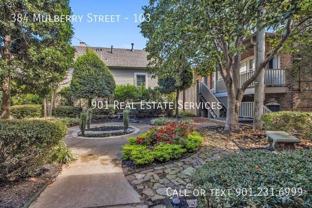 384 Mulberry St #103 - Photo 1 of 1