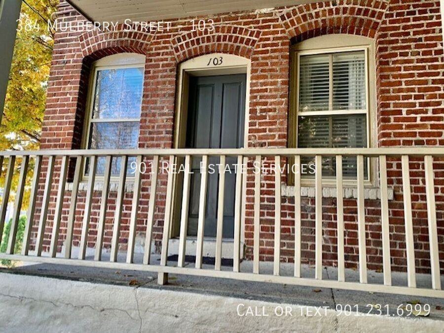 384 Mulberry St #103 - Photo 2 of 23