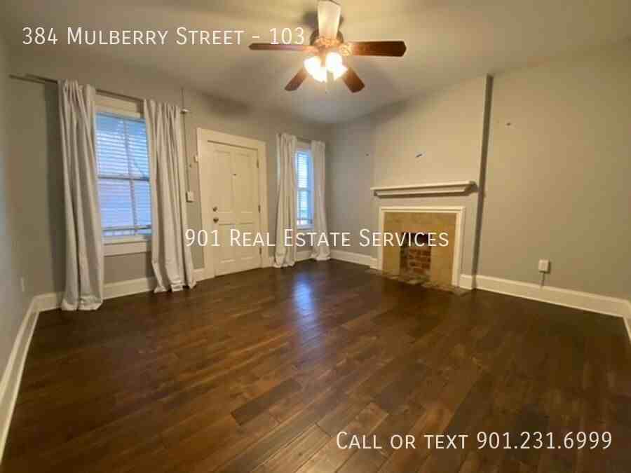 384 Mulberry St #103 - Photo 4 of 23