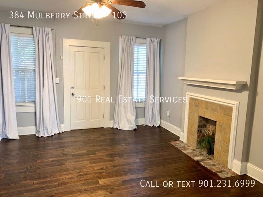 384 Mulberry St #103 - Photo 5 of 23