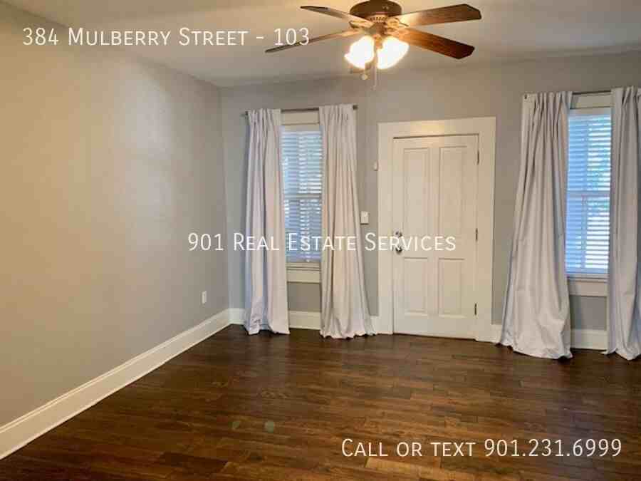 384 Mulberry St #103 - Photo 6 of 23