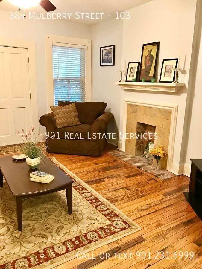 384 Mulberry St #103 - Photo 7 of 23