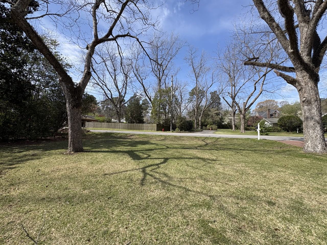 304 Camelia Rd #NA - Photo 2 of 19