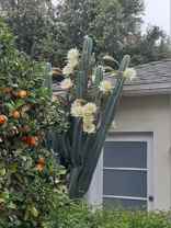 2219 Glendon Avenue, Unit G - Photo 1 of 1