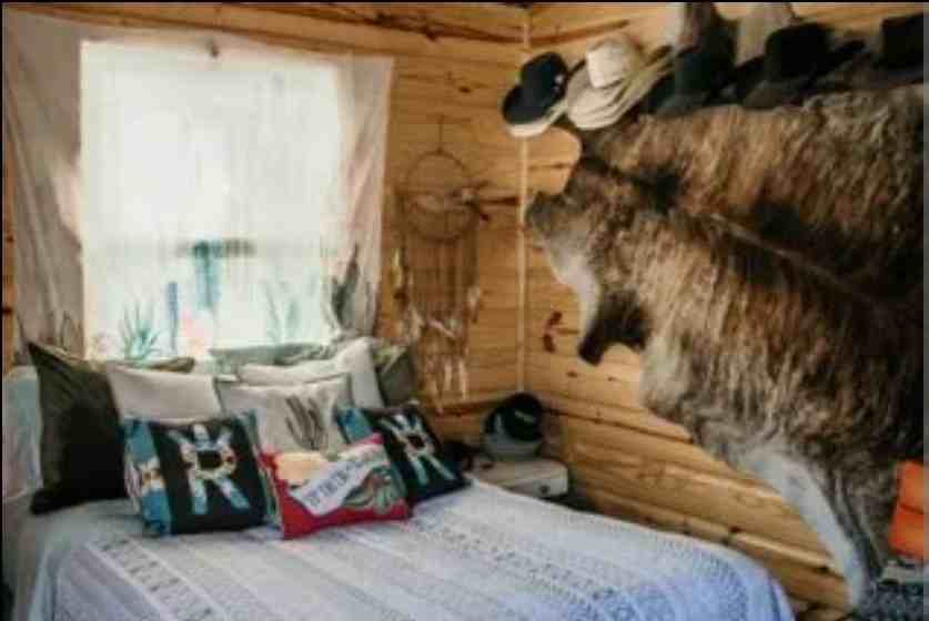 245 Eli Lane, Unit Cabin 24 - Photo 4 of 7