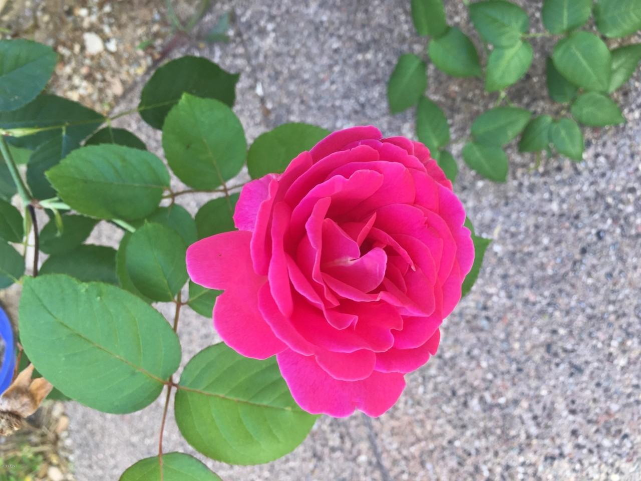 2732 W Florimond Rd - Photo 5 of 33