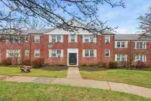 featured image of 343 Bloomfield Ave #8