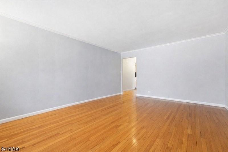 343 Bloomfield Ave #8 - Photo 4 of 11