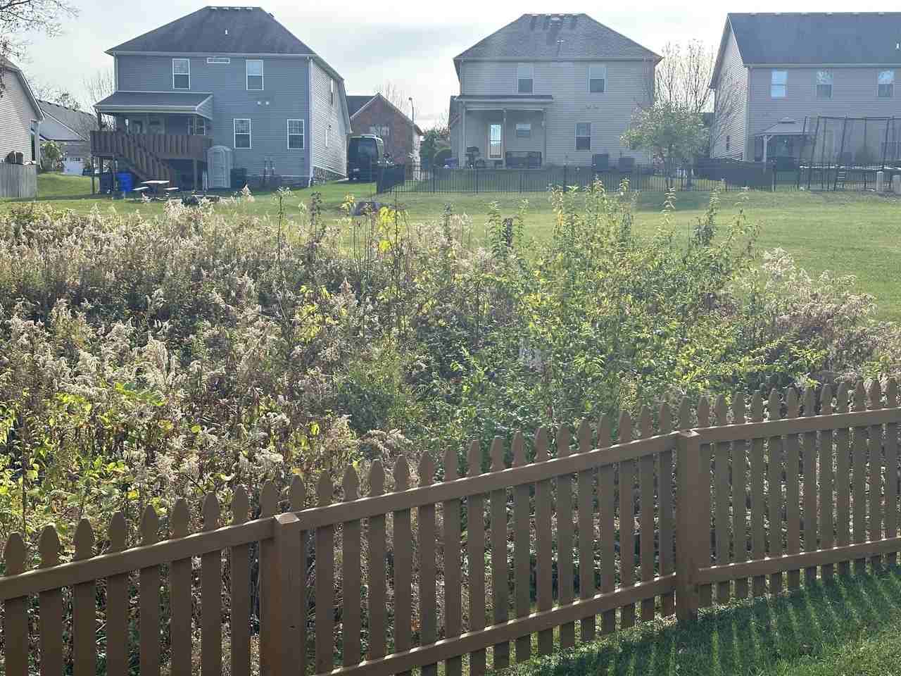 1768 Sandhurst Cv - Photo 3 of 37