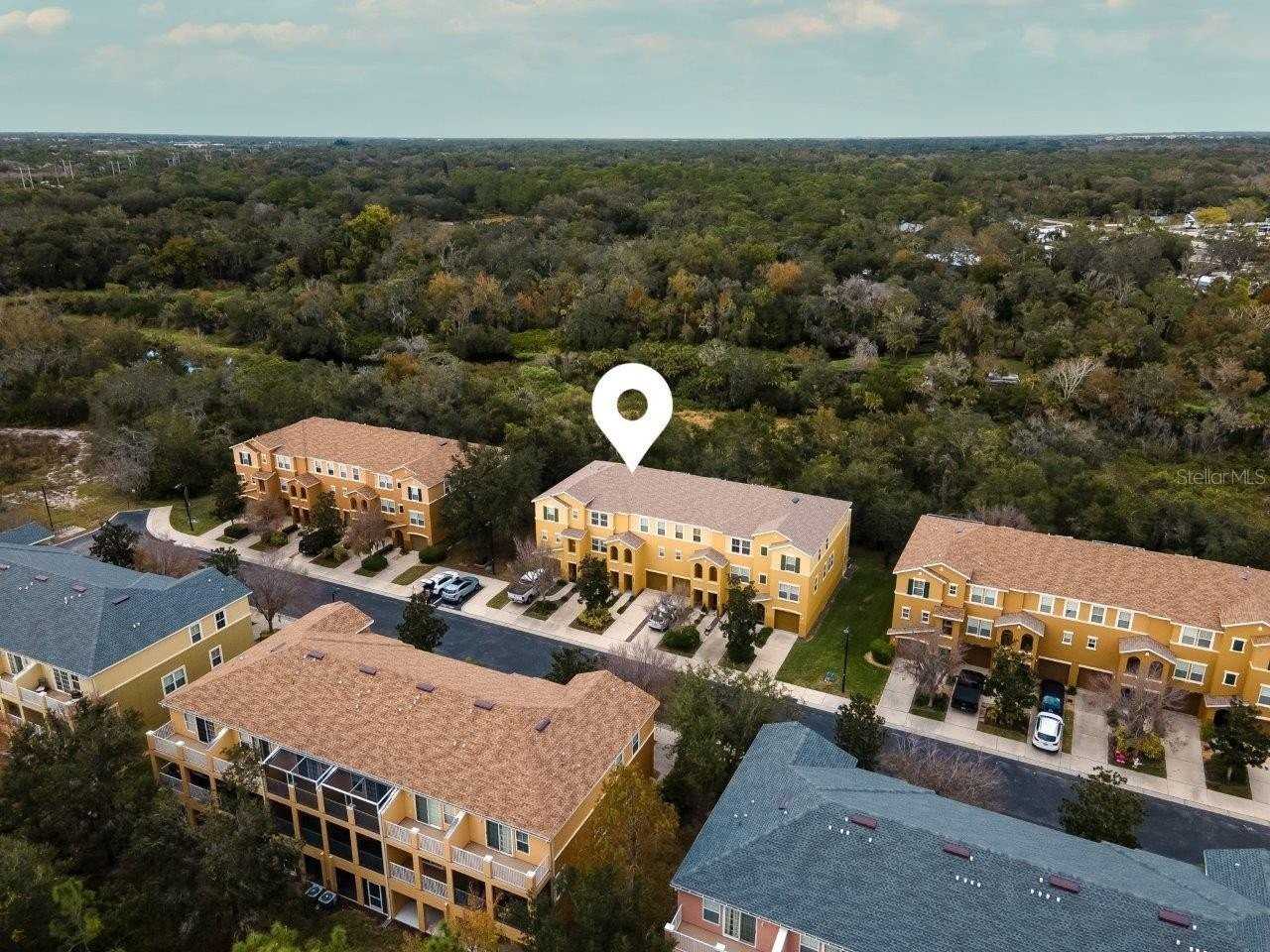 7323 Black Walnut Way #4202 - Photo 3 of 23