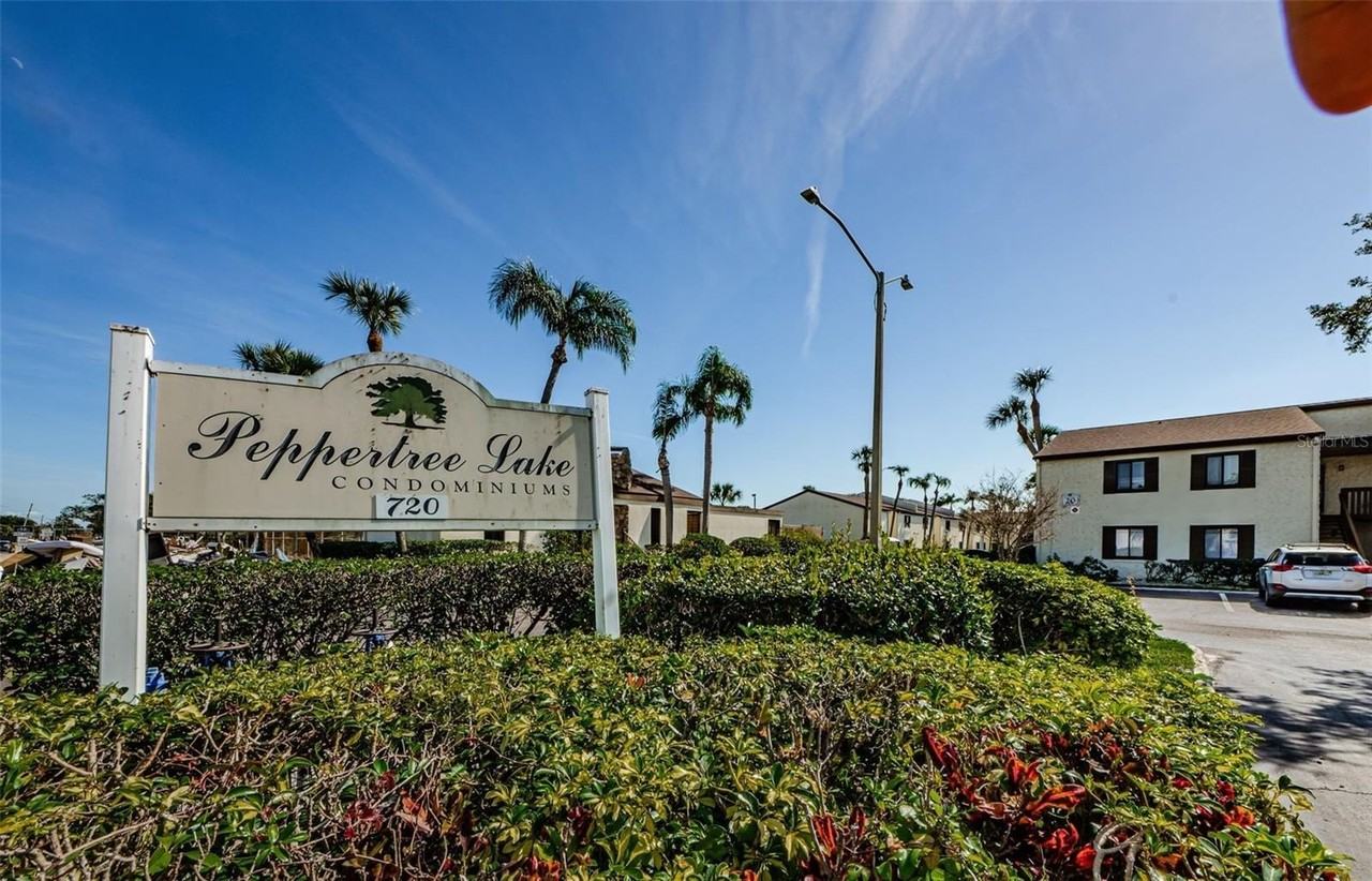 722 116th Ave N #2002 - Photo 3 of 38