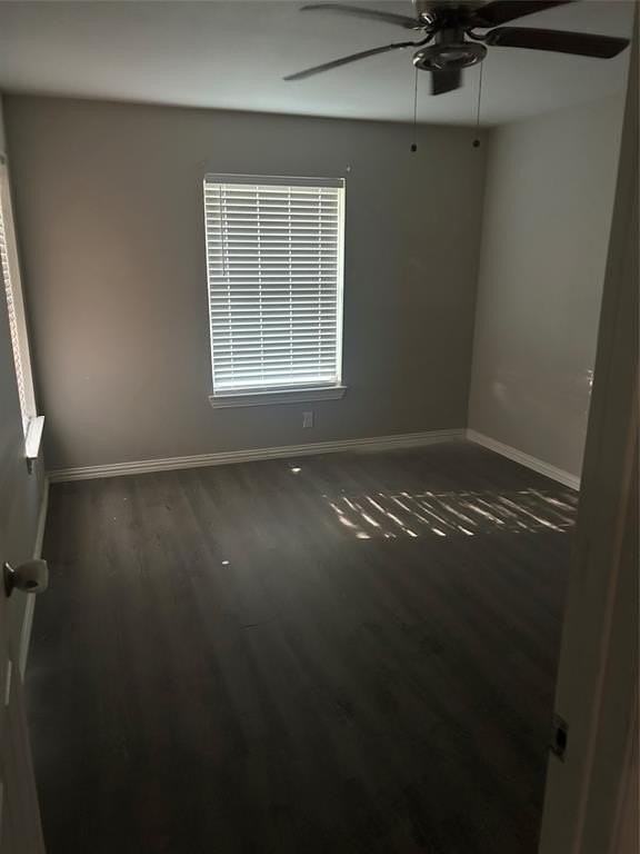 5009 Sabelle Ln - Photo 6 of 7