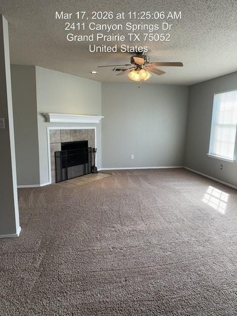 2411 Canyon Springs Dr - Photo 6 of 21