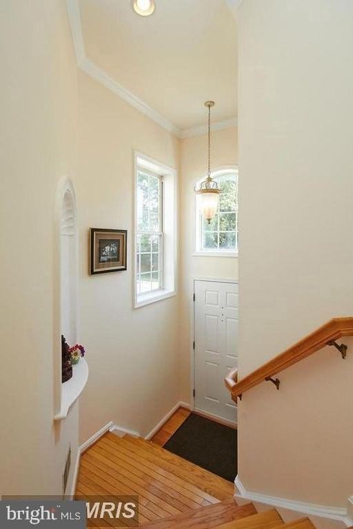 13591 Cedar Run Ln - Photo 4 of 19