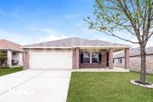 featured image of 172 Texas Mulberry