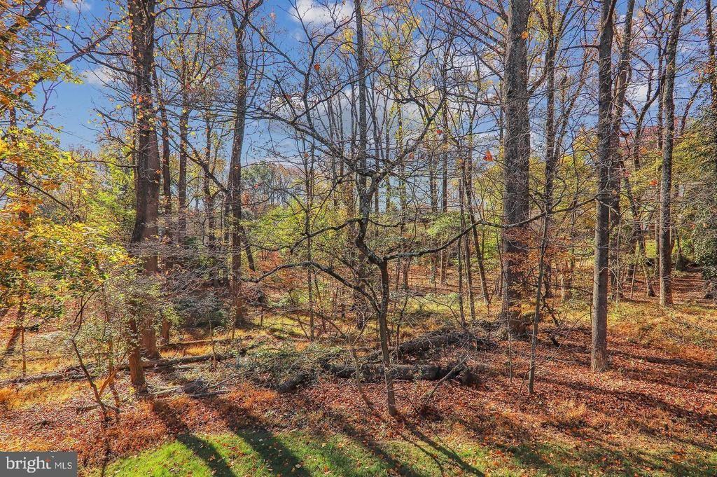 1511 Hugo Cir - Photo 7 of 8