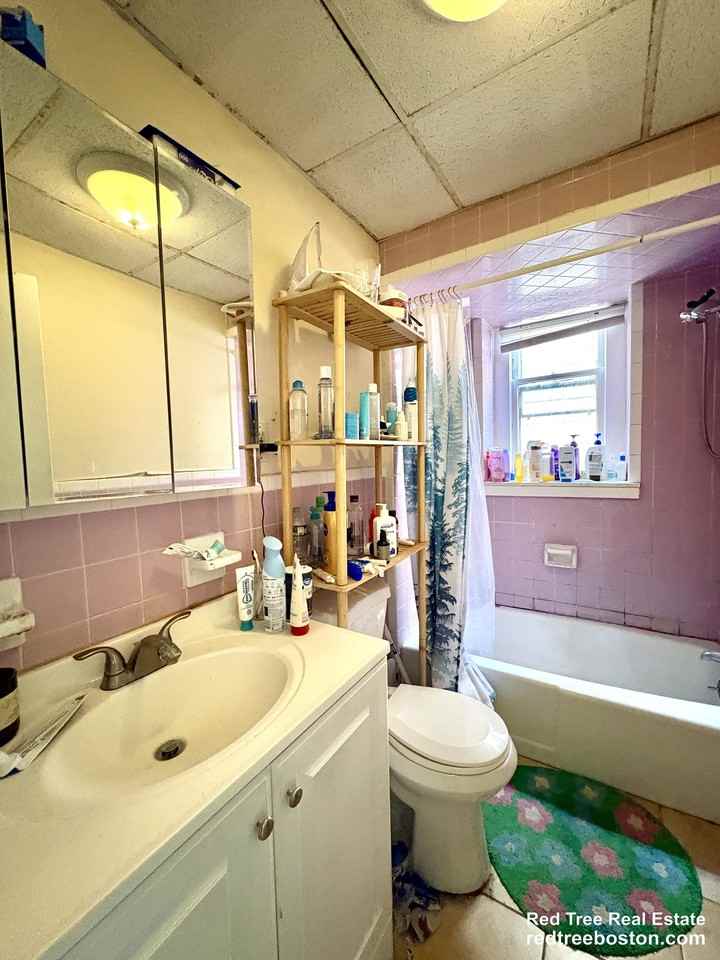 116 Webster St #3 - Photo 5 of 13