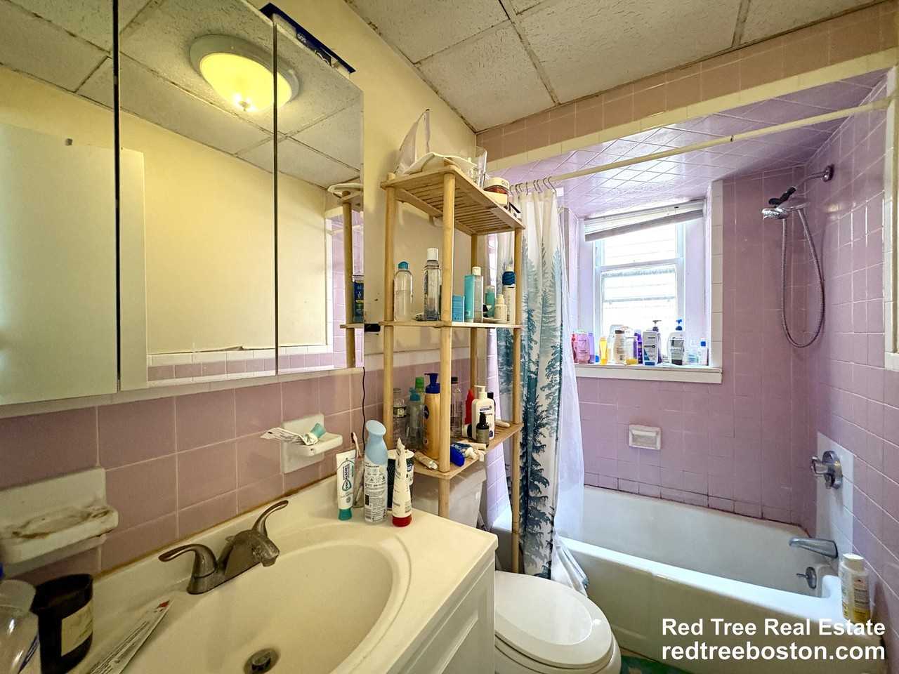116 Webster St #3 - Photo 6 of 13