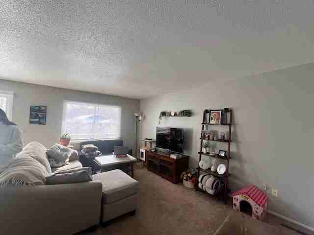 13841 74th Ave N - Photo 4 of 17