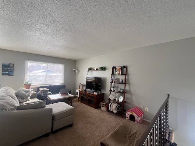 13841 74th Ave N - Photo 5 of 17