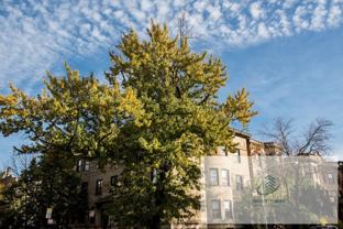 915 W Waveland Ave - Photo 1 of 1