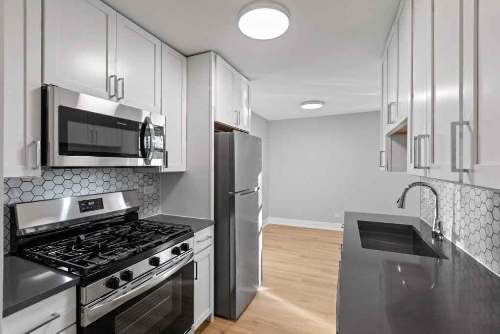 530 W Aldine Ave #507 - Photo 6 of 11