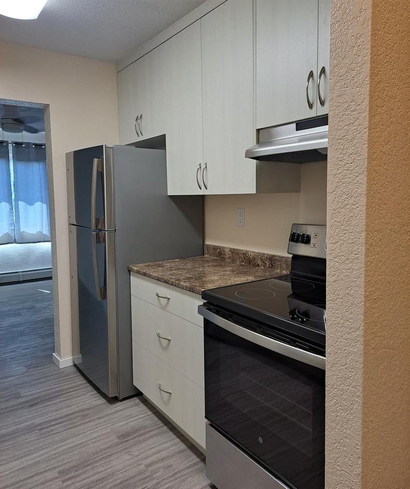 Sand Dollar Manor - Photo 4 of 16