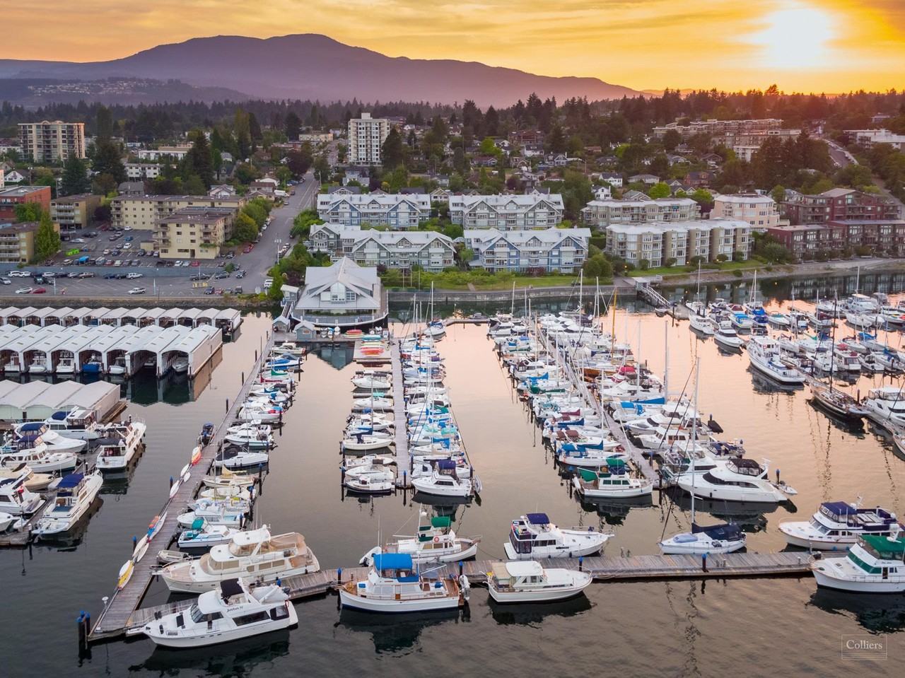 Sand Dollar Manor - Photo 5 of 16