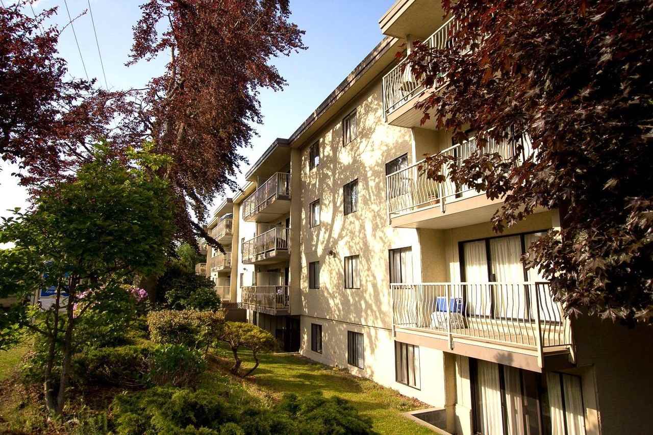 Sand Dollar Manor - Photo 6 of 16