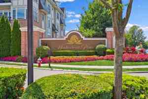 featured image of 336 Trotting Ln