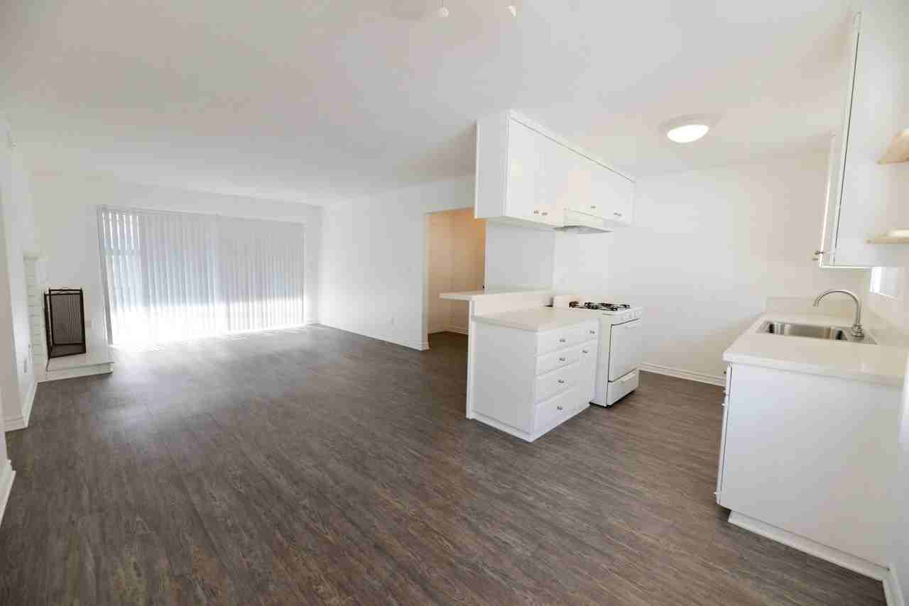 113 Avenida Algodon - Photo 3 of 17