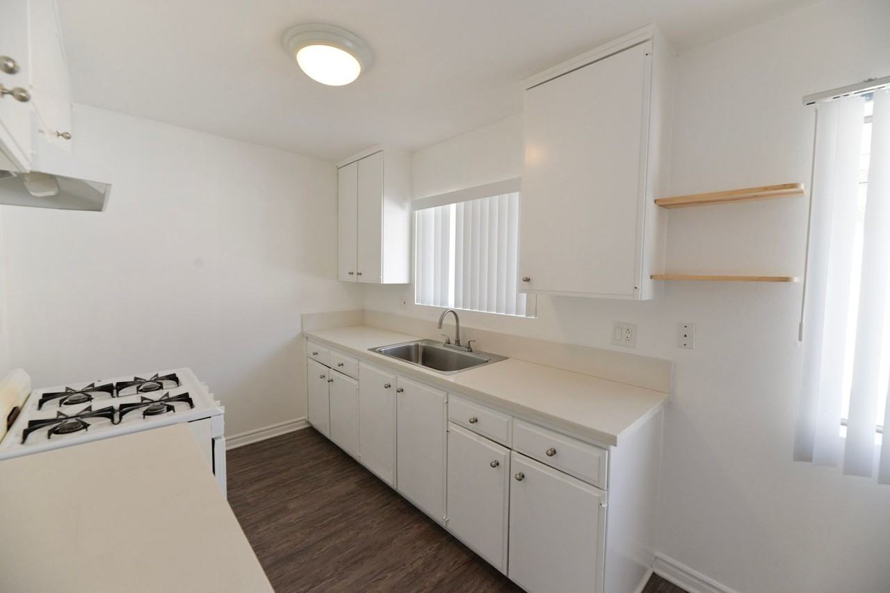 113 Avenida Algodon - Photo 4 of 17