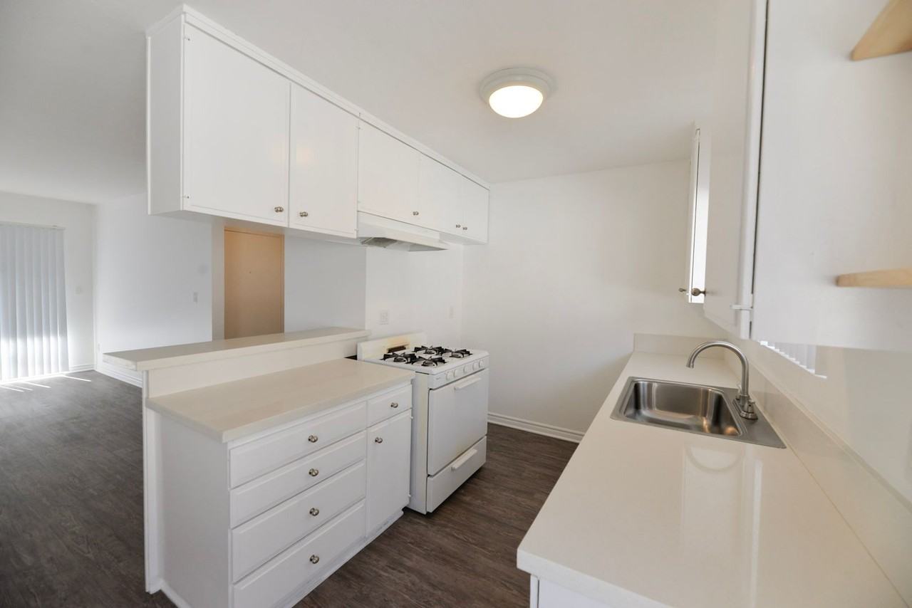 113 Avenida Algodon - Photo 5 of 17