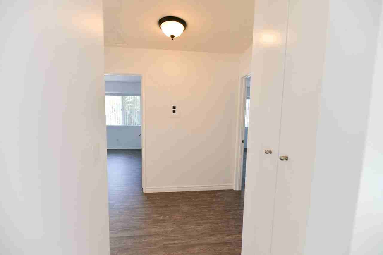 113 Avenida Algodon - Photo 6 of 17