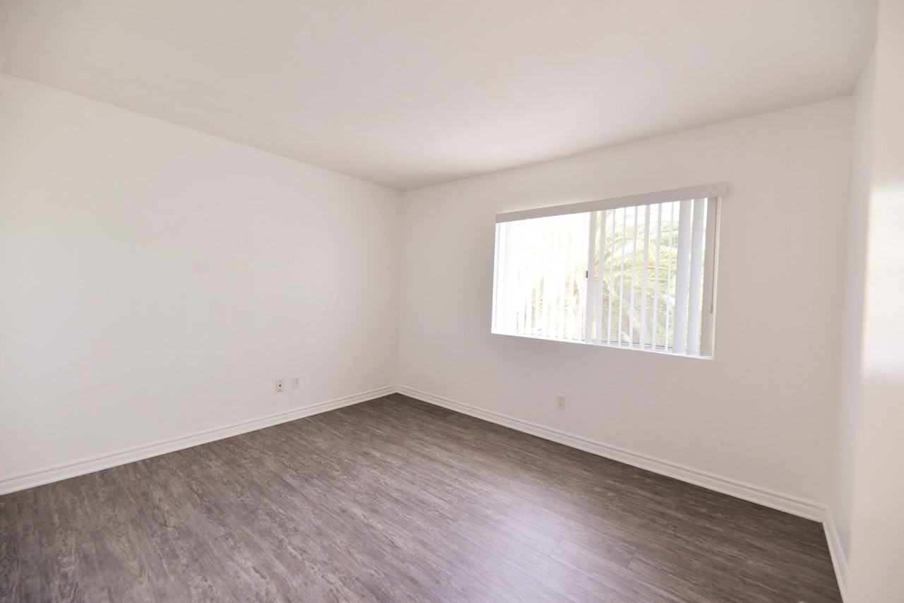 113 Avenida Algodon - Photo 7 of 17