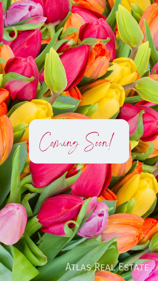 6462 Cinnamon Hazlenut St