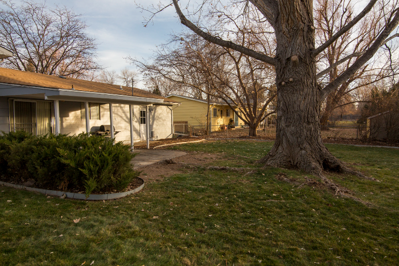 1305 Briarwood Rd - Photo 4 of 10