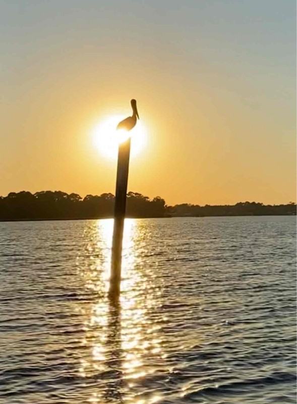 4116 Perch Point Dr - Photo 3 of 12