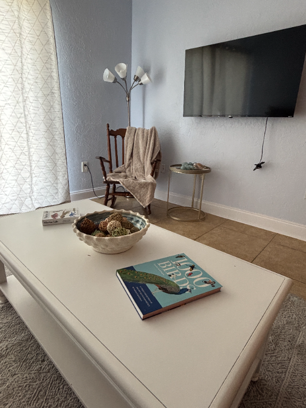 2711 N Halifax Ave #163 - Photo 3 of 20