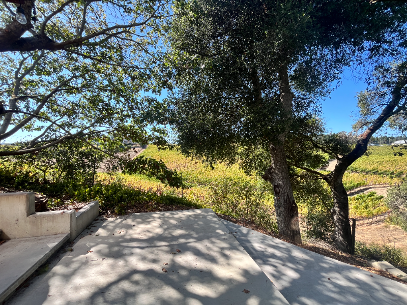 2893A Scotts Right Of Way - Photo 5 of 20