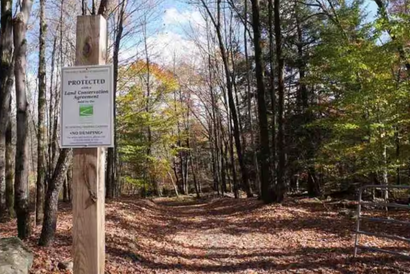 60 Ruth Way Rd #1 - Photo 7 of 7