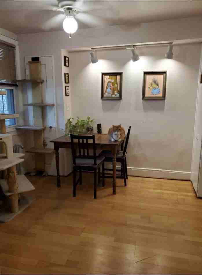 4515 13th St Nw #4515-13TH - Photo 2 of 21